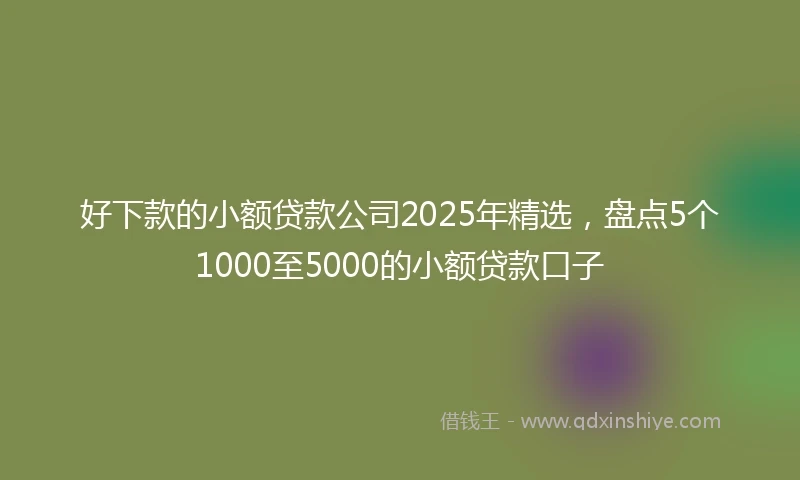 好下款的小额贷款公司2025年精选，盘点5个1000至5000的小额贷款口子