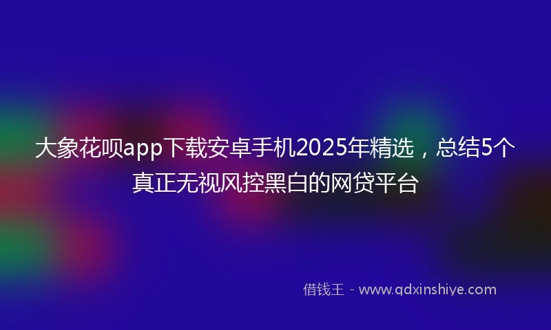 大象花呗app下载安卓手机2025年精选，总结5个真正无视风控黑白的网贷平台