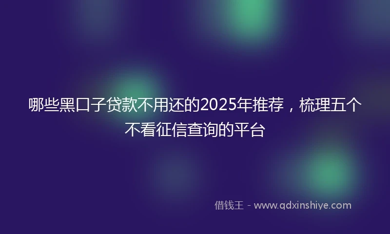 哪些黑口子贷款不用还的2025年推荐，梳理五个不看征信查询的平台