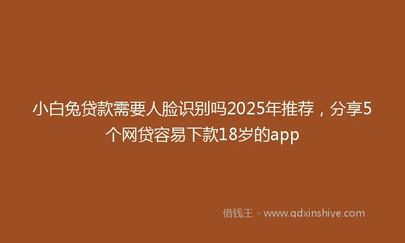 小白兔贷款需要人脸识别吗2025年推荐，分享5个网贷容易下款18岁的app