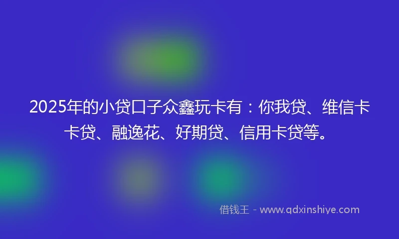 2025年的小贷口子众鑫玩卡有：你我贷、维信卡卡贷、融逸花、好期贷、信用卡贷等。