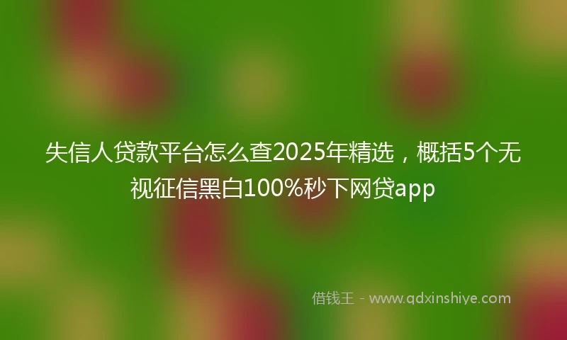 失信人贷款平台怎么查2025年精选，概括5个无视征信黑白100%秒下网贷app