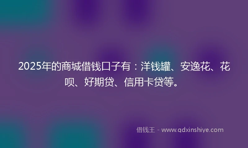 2025年的商城借钱口子有：洋钱罐、安逸花、花呗、好期贷、信用卡贷等。