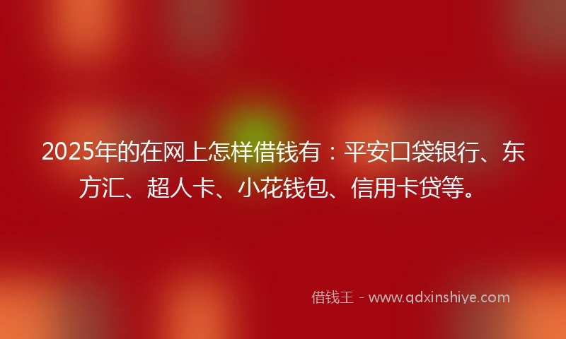 2025年的在网上怎样借钱有：平安口袋银行、东方汇、超人卡、小花钱包、信用卡贷等。