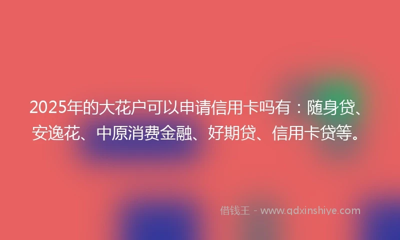 2025年的大花户可以申请信用卡吗有：随身贷、安逸花、中原消费金融、好期贷、信用卡贷等。