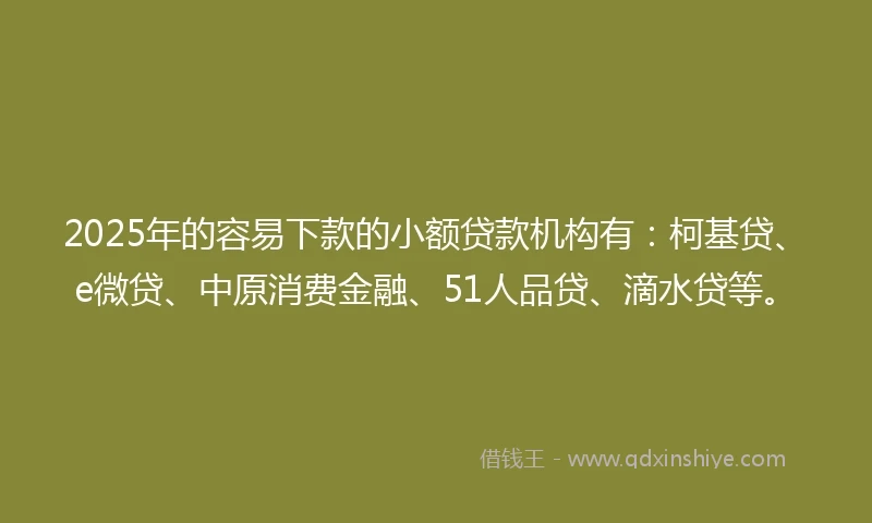 2025年的容易下款的小额贷款机构有：柯基贷、e微贷、中原消费金融、51人品贷、滴水贷等。