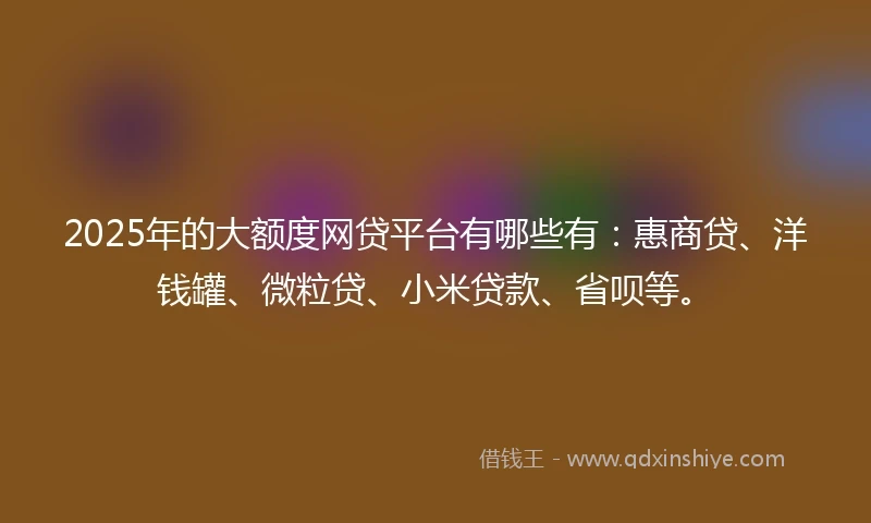 2025年的大额度网贷平台有哪些有：惠商贷、洋钱罐、微粒贷、小米贷款、省呗等。