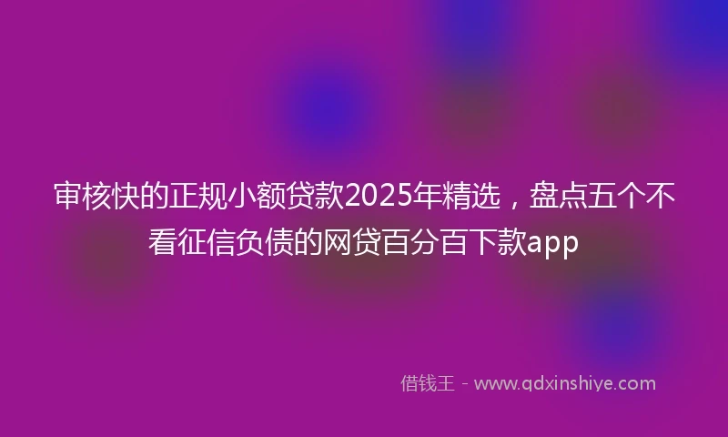 审核快的正规小额贷款2025年精选，盘点五个不看征信负债的网贷百分百下款app