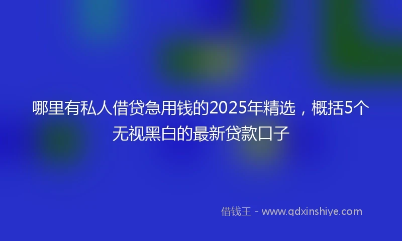 哪里有私人借贷急用钱的2025年精选，概括5个无视黑白的最新贷款口子
