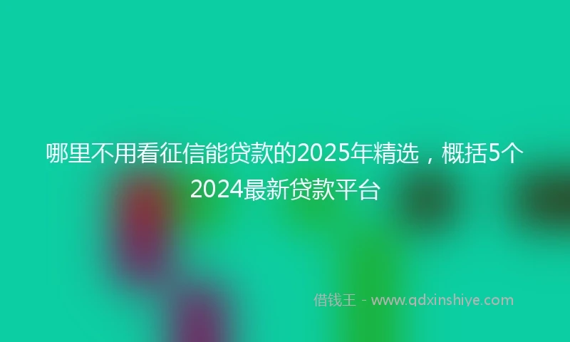 哪里不用看征信能贷款的2025年精选，概括5个2024最新贷款平台