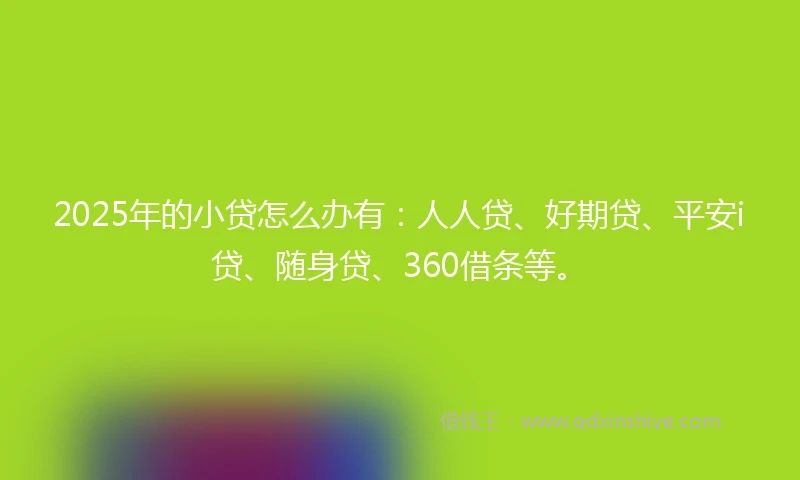 2025年的小贷怎么办有：人人贷、好期贷、平安i贷、随身贷、360借条等。
