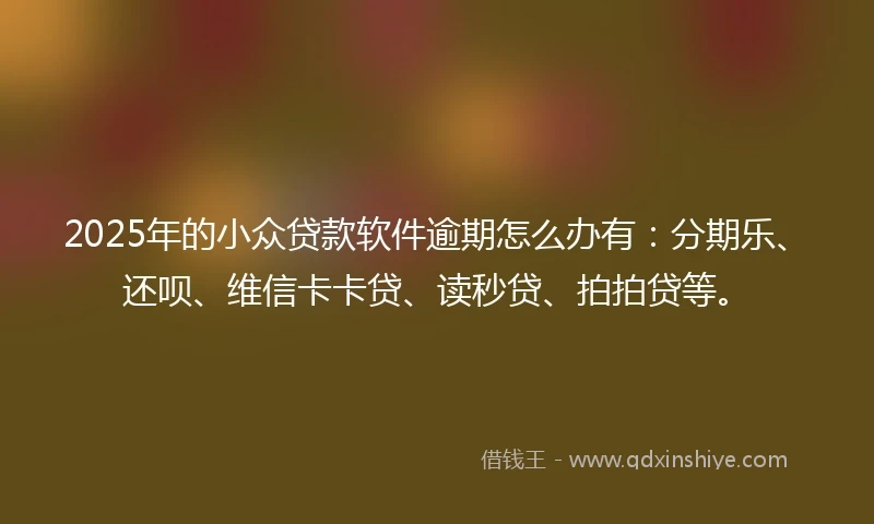 2025年的小众贷款软件逾期怎么办有：分期乐、还呗、维信卡卡贷、读秒贷、拍拍贷等。