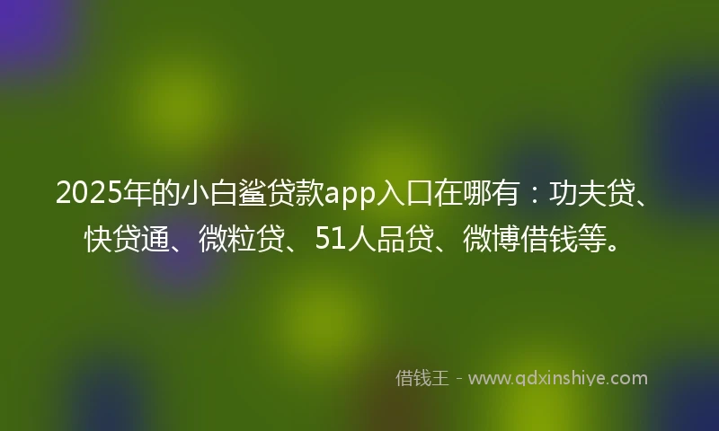 2025年的小白鲨贷款app入口在哪有：功夫贷、快贷通、微粒贷、51人品贷、微博借钱等。