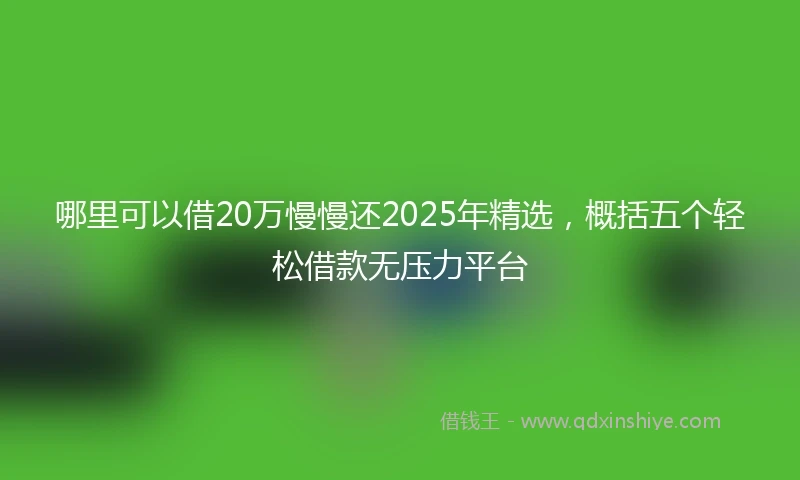 哪里可以借20万慢慢还2025年精选，概括五个轻松借款无压力平台
