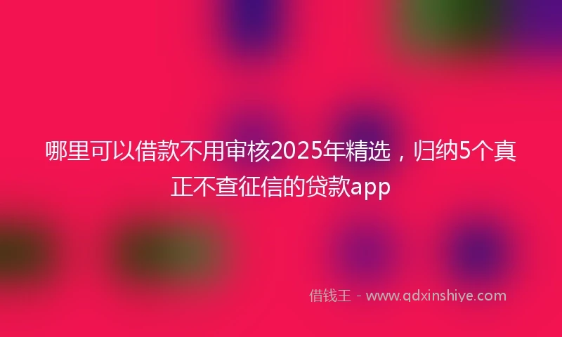 哪里可以借款不用审核2025年精选，归纳5个真正不查征信的贷款app