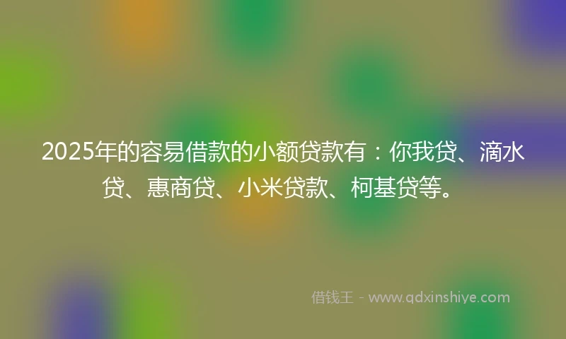 2025年的容易借款的小额贷款有：你我贷、滴水贷、惠商贷、小米贷款、柯基贷等。