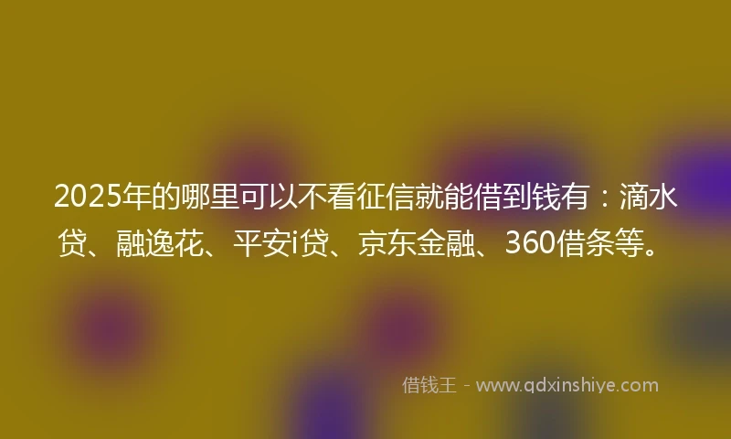 2025年的哪里可以不看征信就能借到钱有：滴水贷、融逸花、平安i贷、京东金融、360借条等。