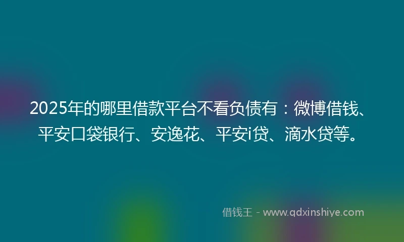2025年的哪里借款平台不看负债有：微博借钱、平安口袋银行、安逸花、平安i贷、滴水贷等。