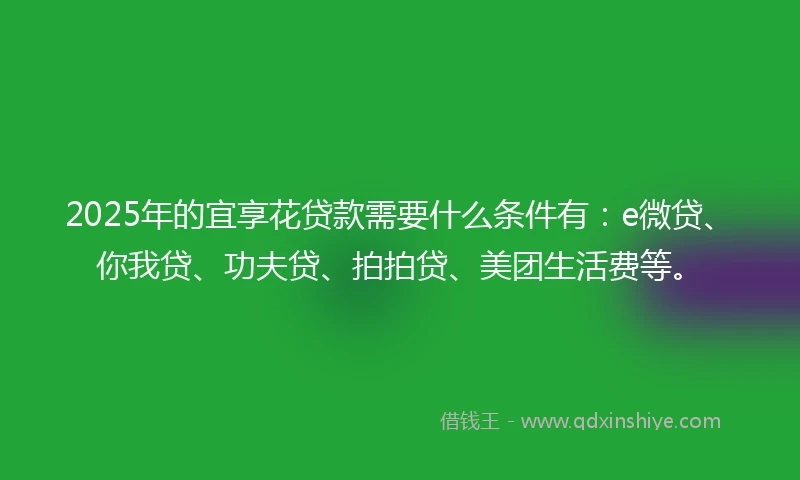 2025年的宜享花贷款需要什么条件有：e微贷、你我贷、功夫贷、拍拍贷、美团生活费等。