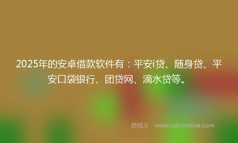 2025年的安卓借款软件有：平安i贷、随身贷、平安口袋银行、团贷网、滴水贷等。