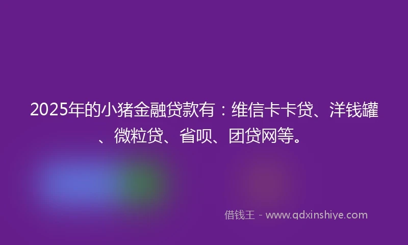 2025年的小猪金融贷款有：维信卡卡贷、洋钱罐、微粒贷、省呗、团贷网等。