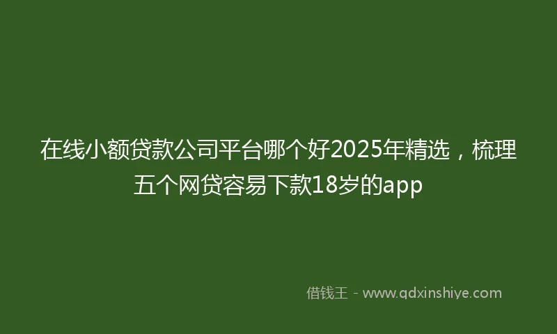 在线小额贷款公司平台哪个好2025年精选，梳理五个网贷容易下款18岁的app