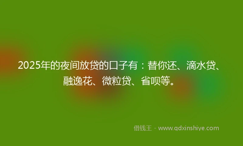 2025年的夜间放贷的口子有：替你还、滴水贷、融逸花、微粒贷、省呗等。