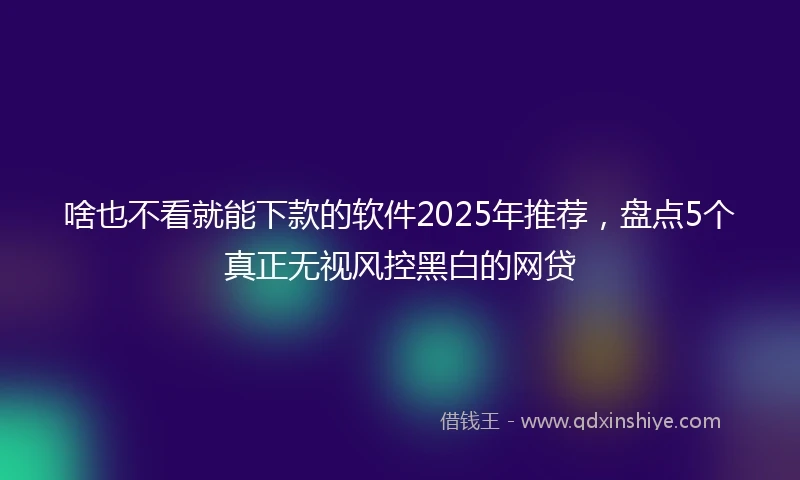 啥也不看就能下款的软件2025年推荐，盘点5个真正无视风控黑白的网贷