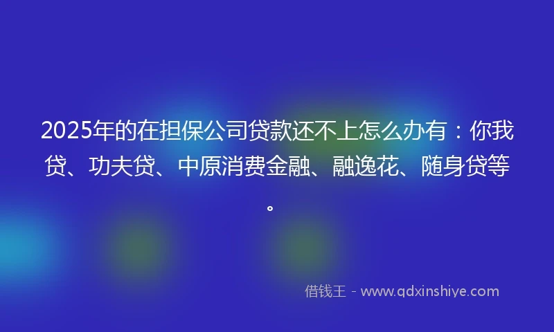 2025年的在担保公司贷款还不上怎么办有：你我贷、功夫贷、中原消费金融、融逸花、随身贷等。