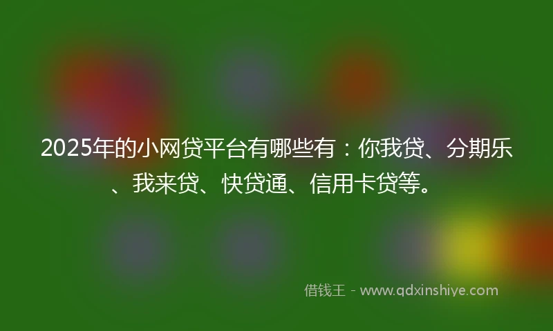 2025年的小网贷平台有哪些有：你我贷、分期乐、我来贷、快贷通、信用卡贷等。