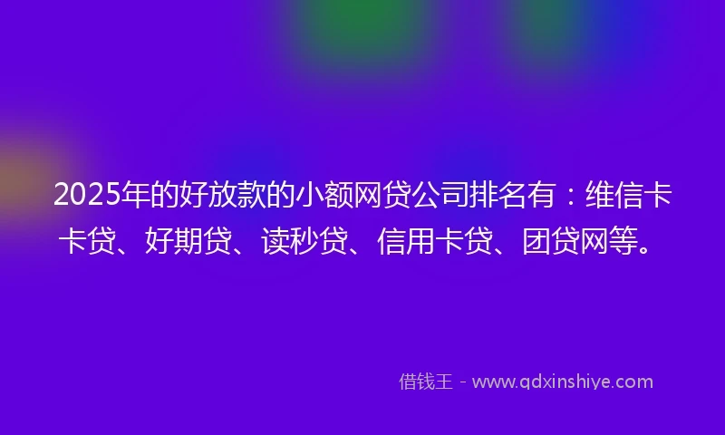 2025年的好放款的小额网贷公司排名有：维信卡卡贷、好期贷、读秒贷、信用卡贷、团贷网等。