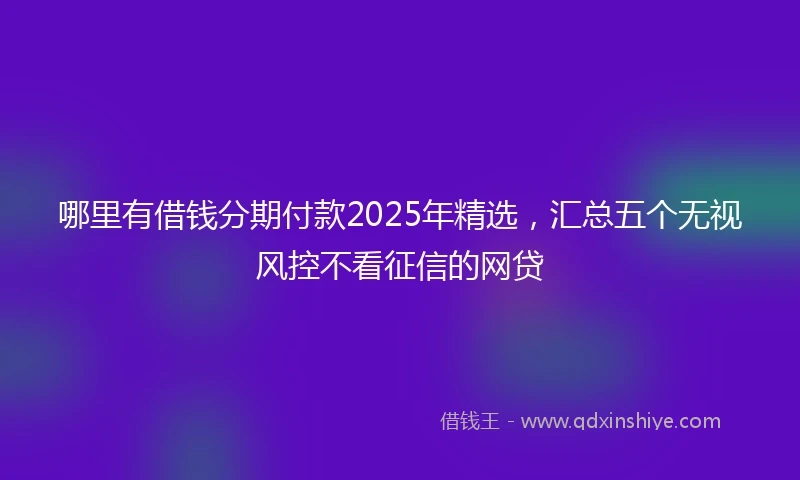 哪里有借钱分期付款2025年精选，汇总五个无视风控不看征信的网贷