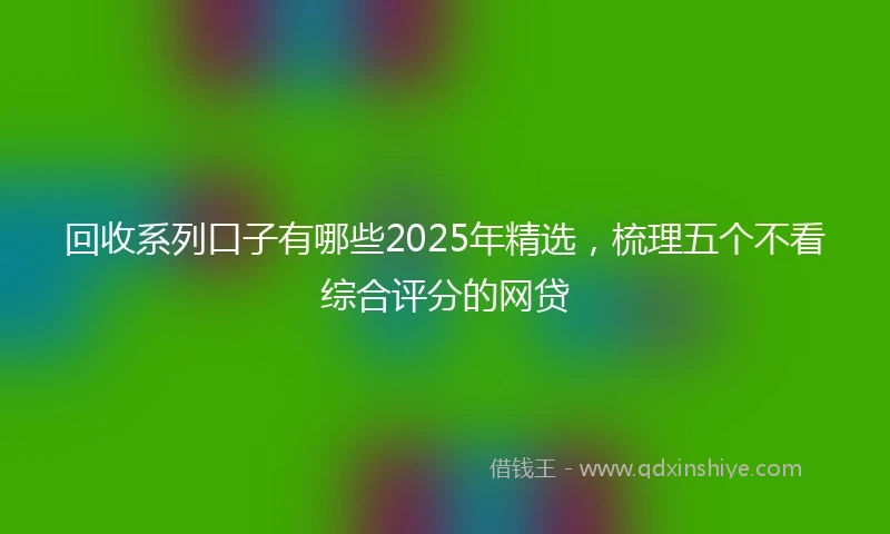 回收系列口子有哪些2025年精选，梳理五个不看综合评分的网贷