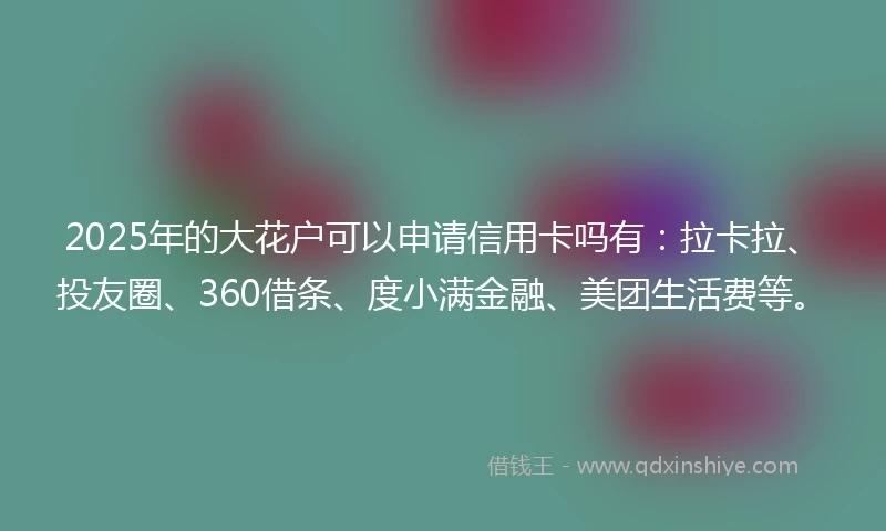2025年的大花户可以申请信用卡吗有：拉卡拉、投友圈、360借条、度小满金融、美团生活费等。
