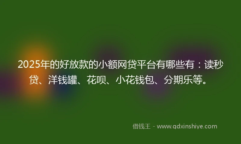 2025年的好放款的小额网贷平台有哪些有：读秒贷、洋钱罐、花呗、小花钱包、分期乐等。