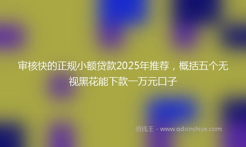 审核快的正规小额贷款2025年推荐,概括五个无视黑花能下款一万元口子