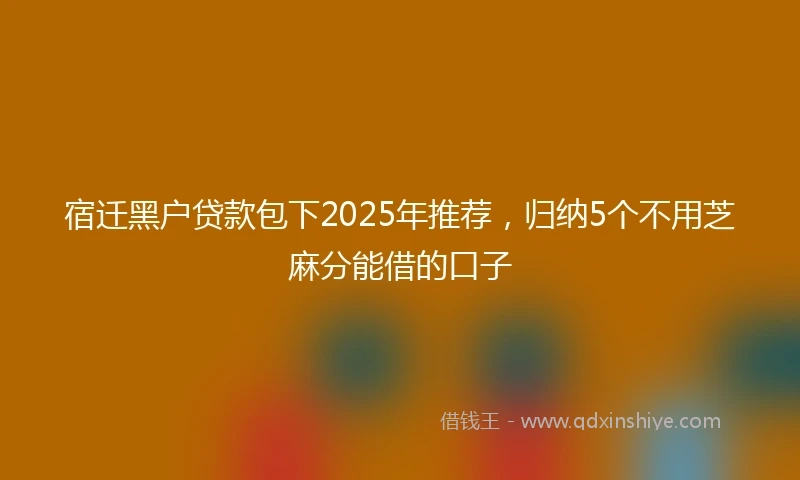 宿迁黑户贷款包下2025年推荐，归纳5个不用芝麻分能借的口子