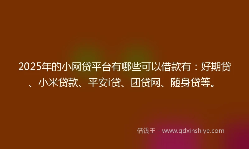 2025年的小网贷平台有哪些可以借款有：好期贷、小米贷款、平安i贷、团贷网、随身贷等。