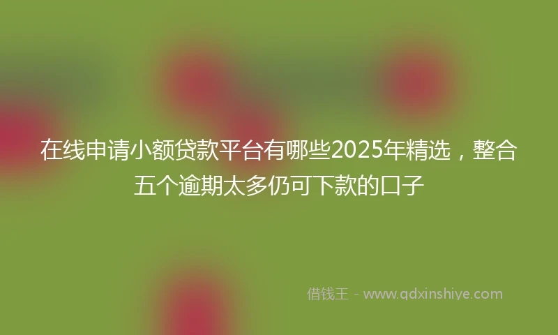 在线申请小额贷款平台有哪些2025年精选，整合五个逾期太多仍可下款的口子