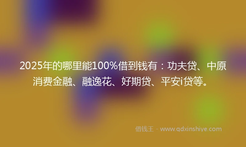 2025年的哪里能100%借到钱有：功夫贷、中原消费金融、融逸花、好期贷、平安i贷等。