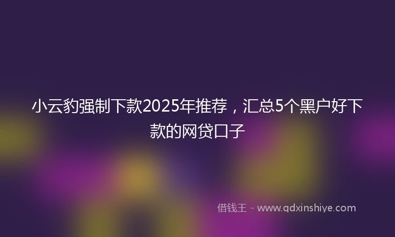 小云豹强制下款2025年推荐，汇总5个黑户好下款的网贷口子