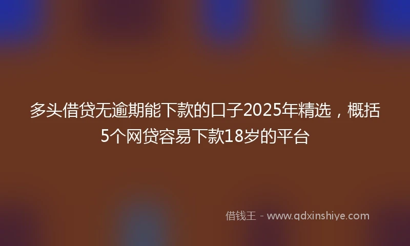 多头借贷无逾期能下款的口子2025年精选，概括5个网贷容易下款18岁的平台