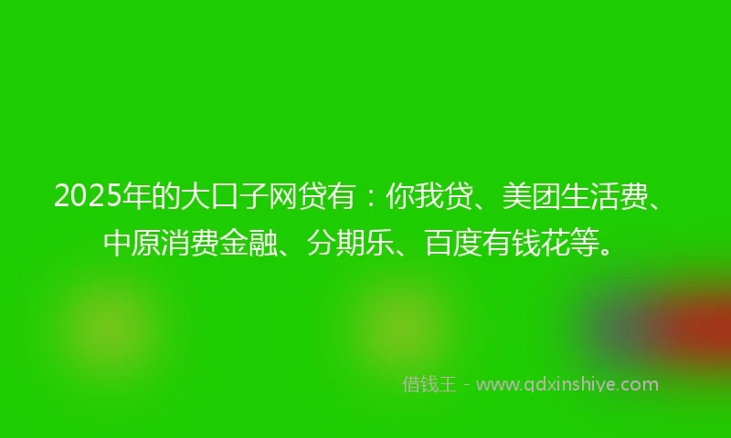 2025年的大口子网贷有：你我贷、美团生活费、中原消费金融、分期乐、百度有钱花等。