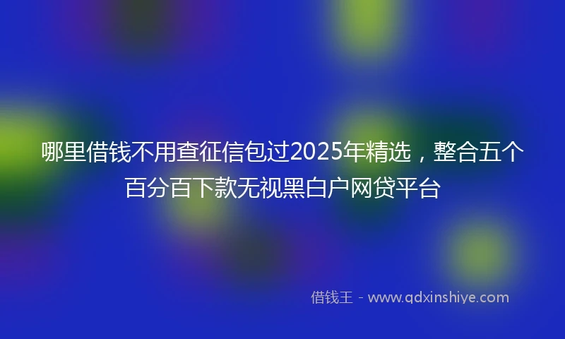 哪里借钱不用查征信包过2025年精选，整合五个百分百下款无视黑白户网贷平台