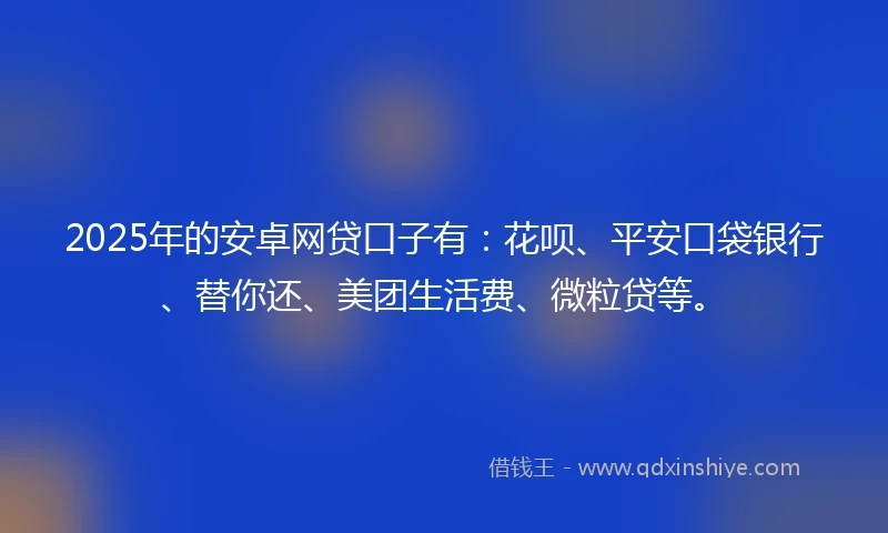 2025年的安卓网贷口子有:花呗、平安口袋银行、替你还、美团生活费、微粒贷等。