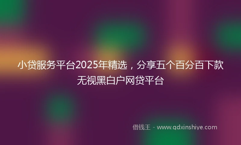 小贷服务平台2025年精选，分享五个百分百下款无视黑白户网贷平台