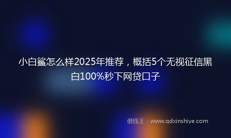 小白鲨怎么样2025年推荐，概括5个无视征信黑白100%秒下网贷口子