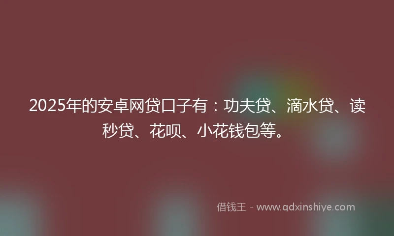 2025年的安卓网贷口子有：功夫贷、滴水贷、读秒贷、花呗、小花钱包等。