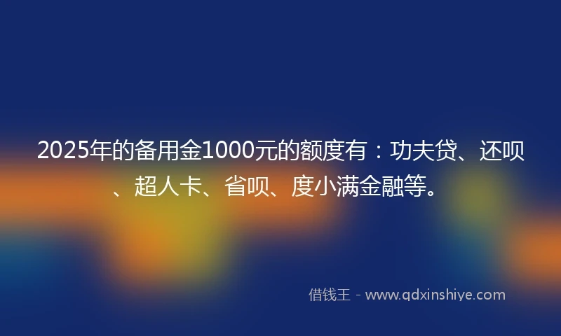 2025年的备用金1000元的额度有：功夫贷、还呗、超人卡、省呗、度小满金融等。