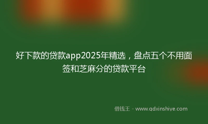好下款的贷款app2025年精选,盘点五个不用面签和芝麻分的贷款平台